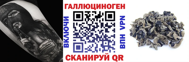 Псилоцибиновые грибы Psilocybine cubensis  где продают   Дудинка 